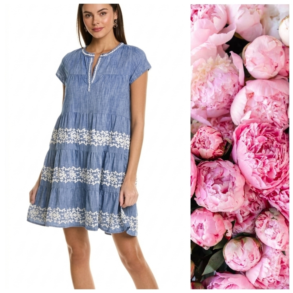 Roller Rabbit Pamela Chambray Blue and White Embroidered Mini Dress